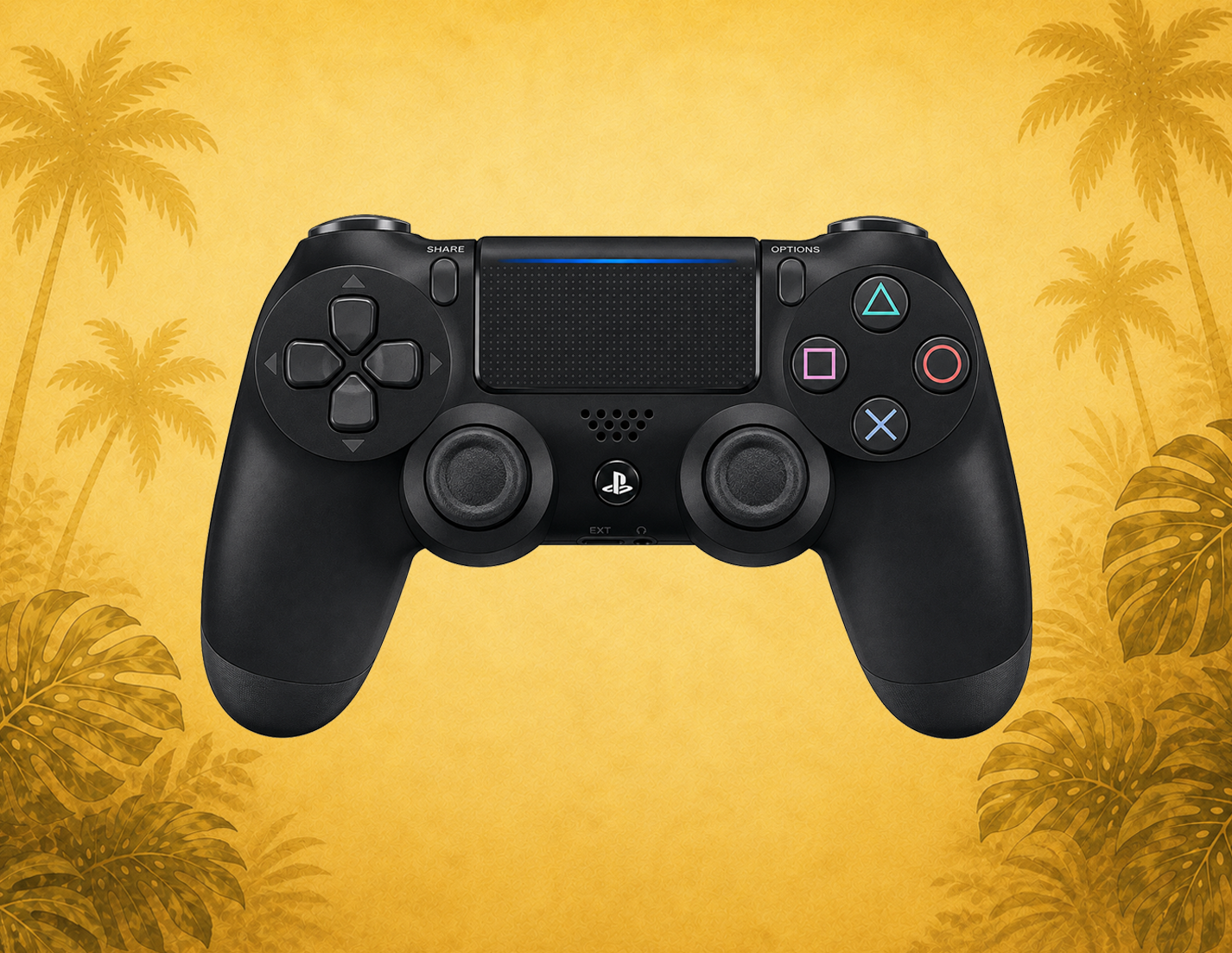 Playstation Accessories